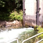 Water entering Lake Chaplain from Spada Lake