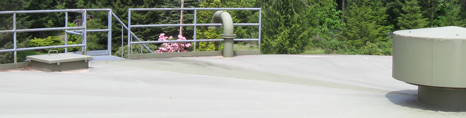 Image of a rooftop with trees in the background